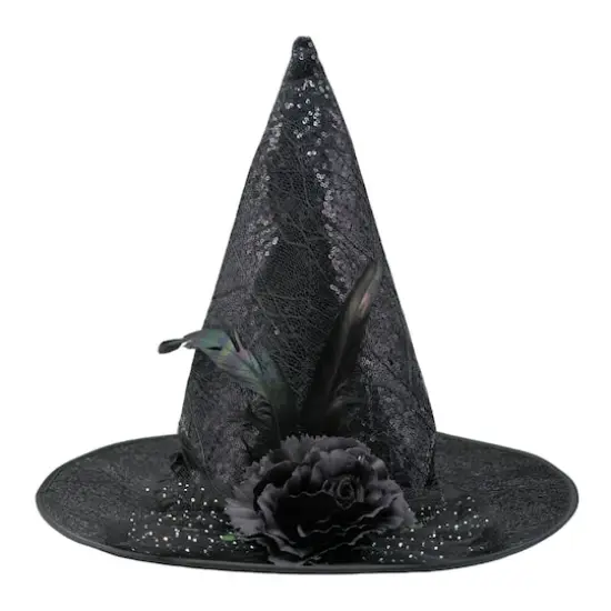 Black Witch Hat with Feather & Flower by Celebrate It&trade; {1}