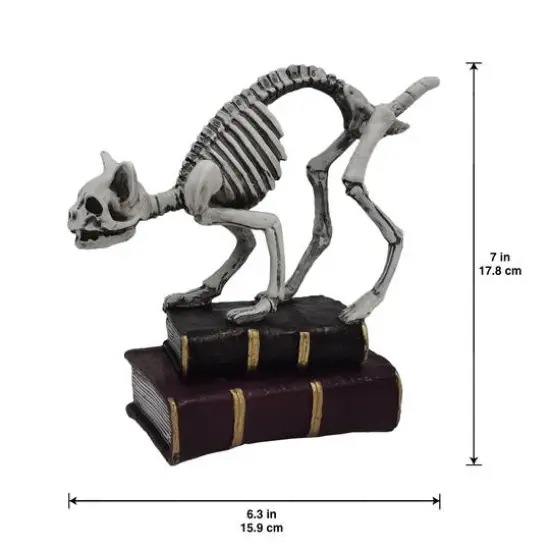 7" Skeleton Cat with Books Tabletop D&eacute;cor by Ashland&reg; {4}