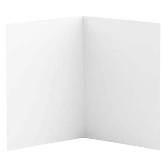 JAM Paper A2 White Blank Foldover Cards with Panel, 100ct. {6}