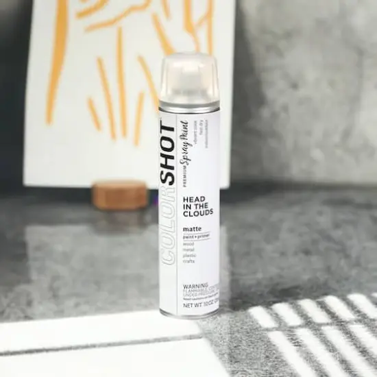 COLORSHOT&reg; Head In the Clouds Matte Spray Paint {1}