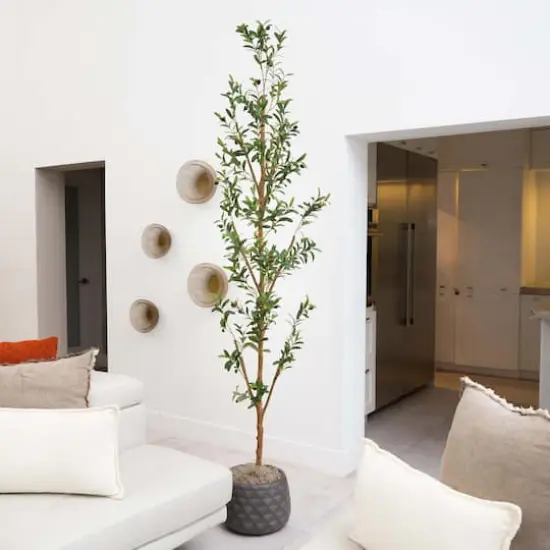 8ft. Potted Artificial Olive Tree with Natural Trunk {3}