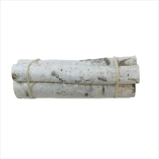 Wilson&reg; Enterprises Roped Birch Bundle Set {4}