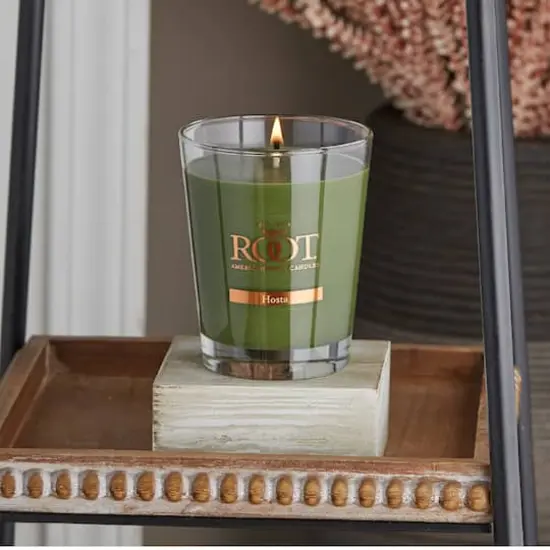 Root Candles 10.5oz. Large Scented Honeycomb Veriglass Jar Candle Hosta {3}