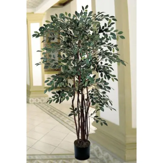 4ft. Potted Ruscus Tree {3}