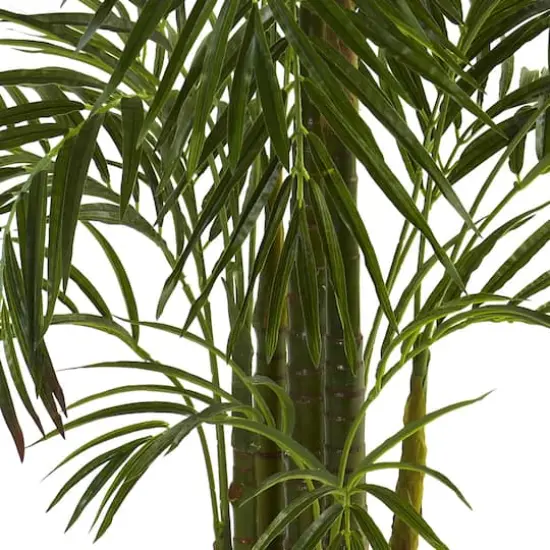 4.5ft. Potted Areca Palm {4}