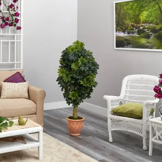 5ft. Umbrella Tree in Terra Cotta Planter {5}