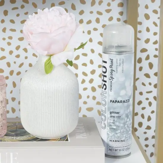 COLORSHOT&reg; Premium Glitter Spray Paint Paparazzi {7}