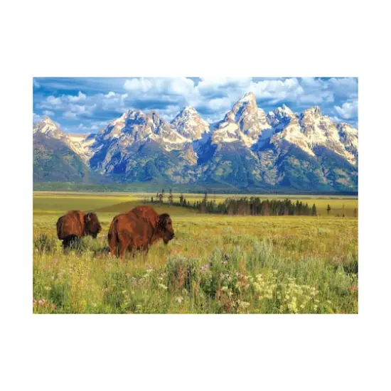 Steve Hinch - Grand Teton National Park, Wyoming, USA: 1000 Pcs {1}