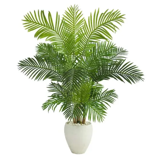 5ft. Hawaii Palm Tree in White Planter {1}
