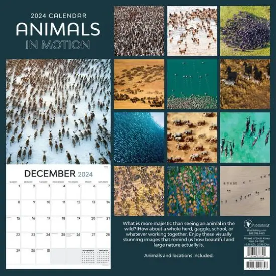 TF Publishing 2024 Animals in Motion Wall Calendar {3}