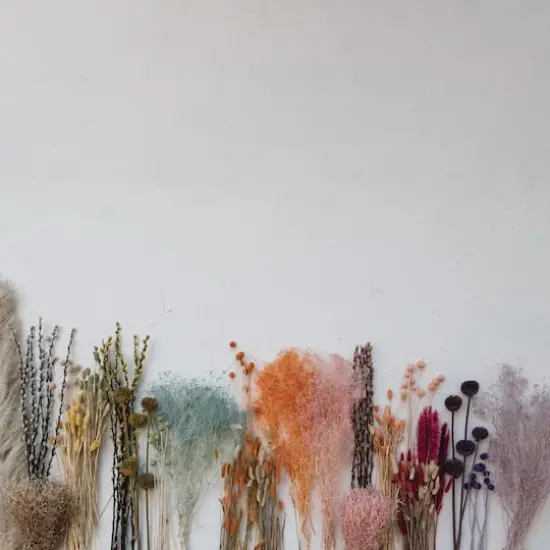 Hello Honey&reg; 23.5" Dried Natural Baby's Breath Bunch, 4ct. {3}