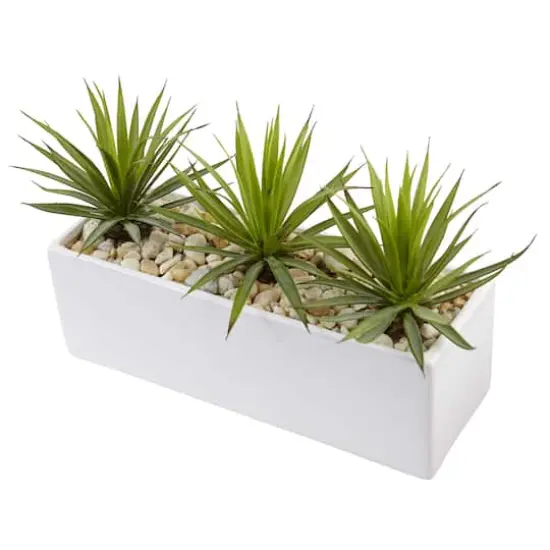 8" Mini Agaves in Rectangular Ceramic Planter {4}