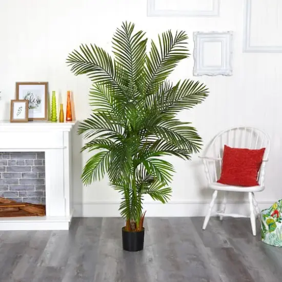 6ft. Potted Areca Palm Tree {3}