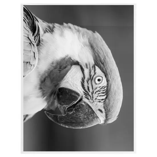 JAM Paper 10" x 13" Clear Cello Sleeve Envelopes, 100ct. {6}