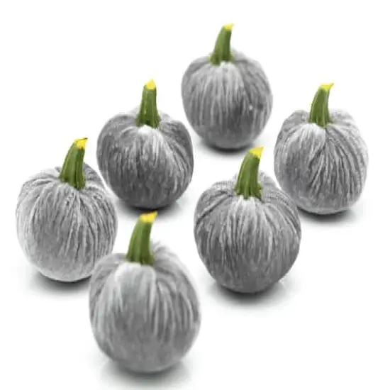 Flora Bunda&reg; Gray Velvet Pumpkins, 6ct. {1}