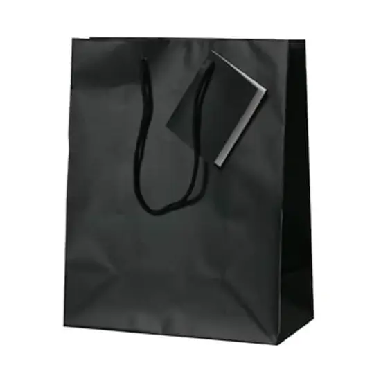 JAM Paper Medium Gift Bags with Rope Handles, 100ct. Black Matte {1}