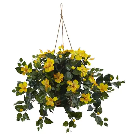 22" Yellow Hibiscus In Hanging Basket {1}