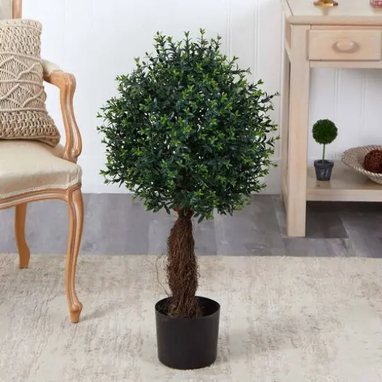 3ft. Potted Ixora Topiary {6}