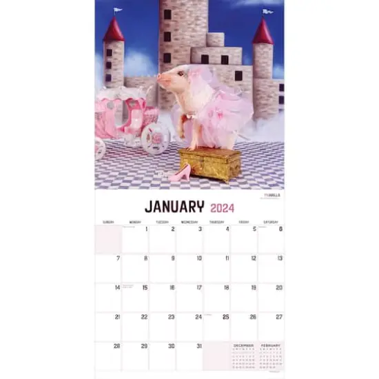 TF Publishing 2024 Playful Pigs Wall Calendar {4}