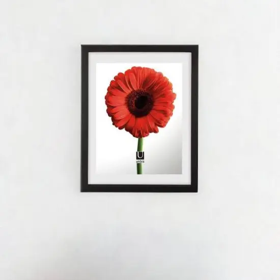 Umbra Black Document 14" x 11" Rectangular Frame {1}