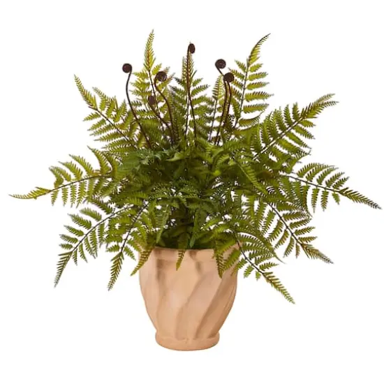 22" Fern in Orange Planter {1}