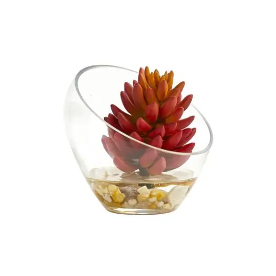 7" Succulent Plants in Slanted Glass Vase Set {3}