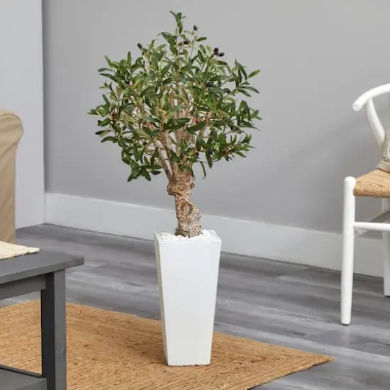 3.5ft. Olive Tree in White Tower Planter {3}