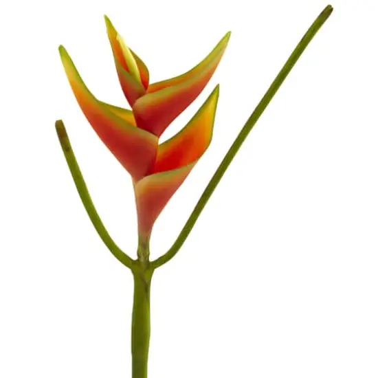 14" Mini Heliconia Artificial Flower (Set of 6) {3}