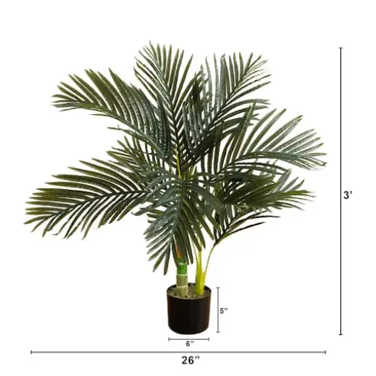 3ft. Potted Golden Cane Palm Tree {4}