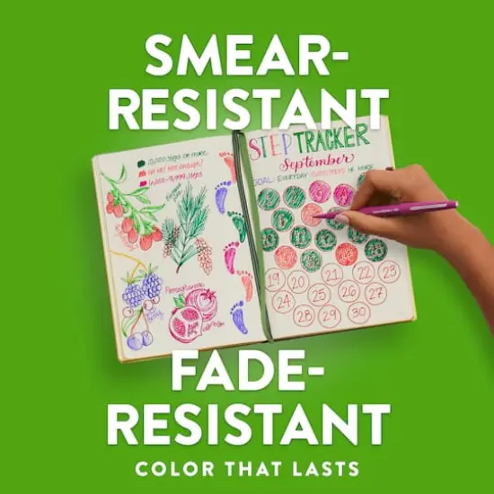 Paper Mate&reg; Flair&reg; Felt Tip Pen 12 Color Set {5}