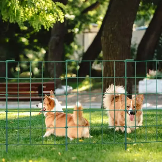 NEX&trade; Green Rustproof Metal Folding Fence, 35ct. {5}