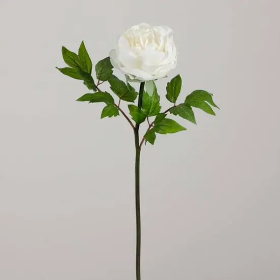 20" White Peony Flower Stems, 3ct. {9}