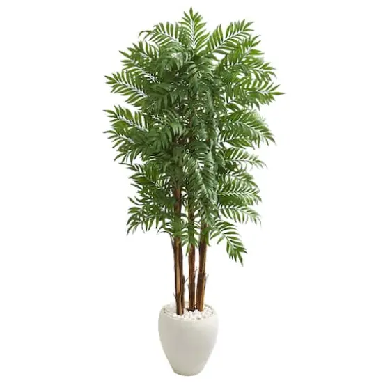 6ft. Parlor Palm Tree in White Planter {1}