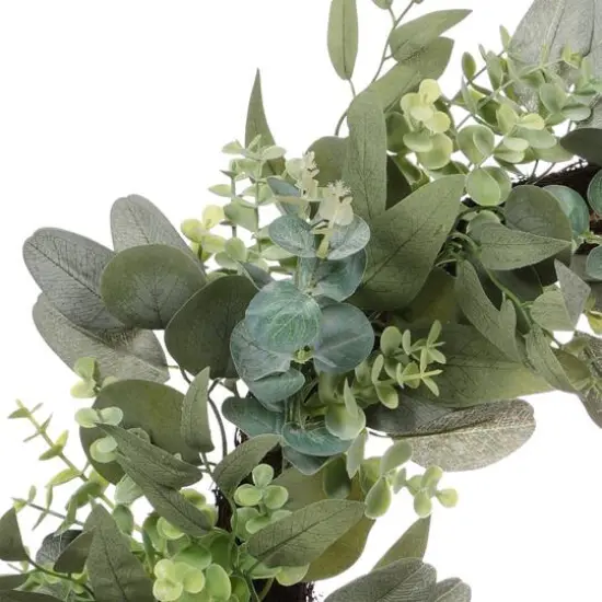 24" Spring Eucalyptus & Creeping Jenny Wreath {3}