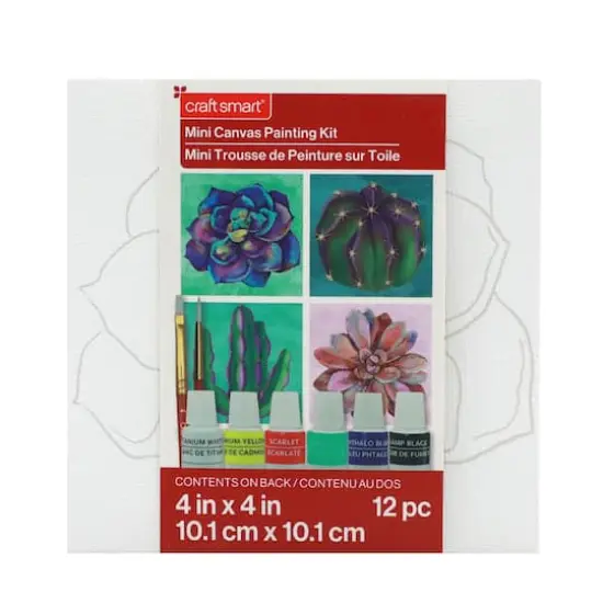 Cactus Mini Canvas Painting Kit by Craft Smart&reg; {3}