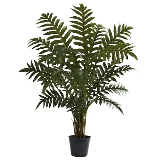 3.5ft. Potted Evergreen Tree {1}