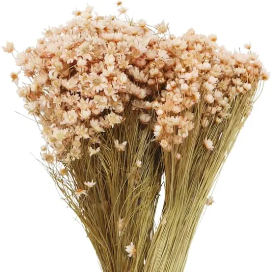 13" Pink Campo Flowers by Ashland&reg; {3}