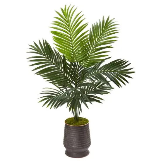 4ft. Kentia Palm Tree in Ribbed Metal Planter {1}