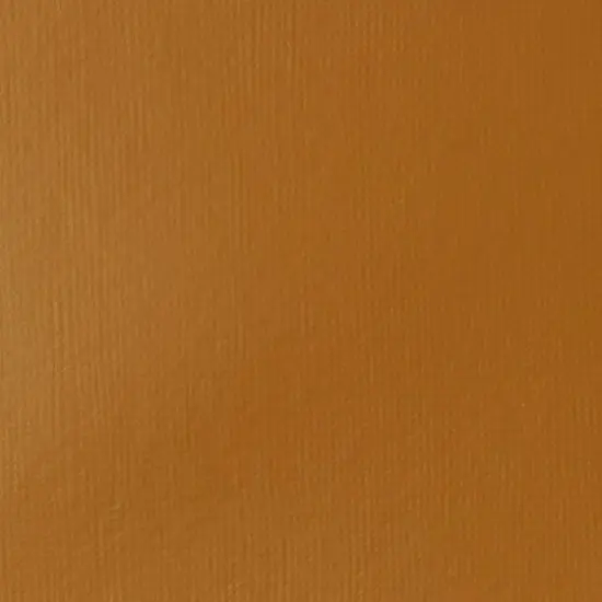 Liquitex&reg; BASICS&reg; Acrylic Fluid, 4oz. Raw Sienna {3}