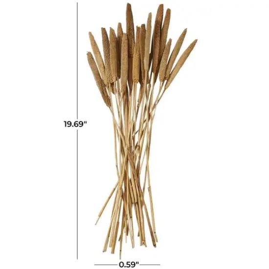Dried Plant Bunny Tail Natural Foliage with Long Stems Brown {6}
