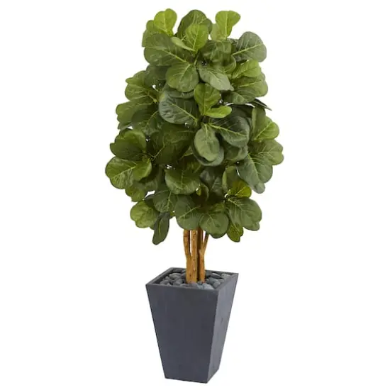 5.5ft. Fiddle Leaf Tree in Slate Planter {1}