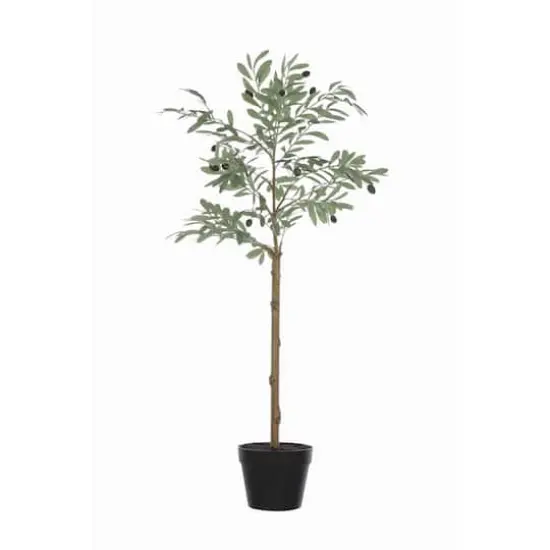 Hello Honey&reg; 3.5ft. Potted Olive Tree {1}