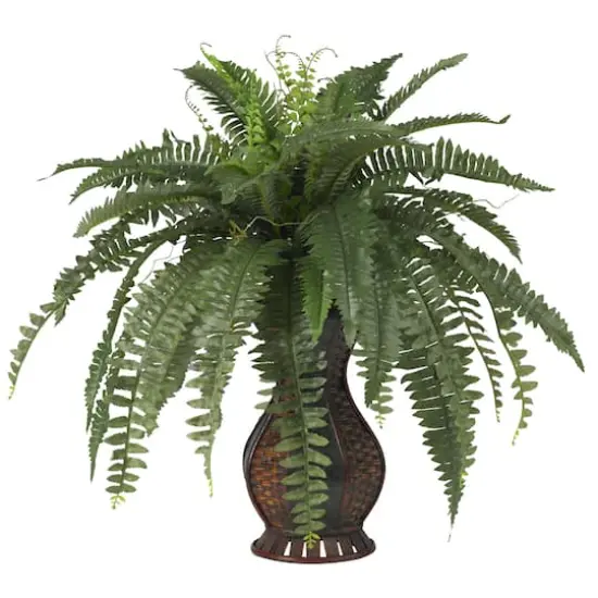 2.5.ft. Boston Fern In Decorative Brown Urn {1}