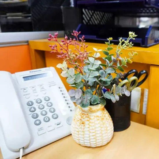 Green Seeded Eucalyptus Pick by Ashland&reg; {4}