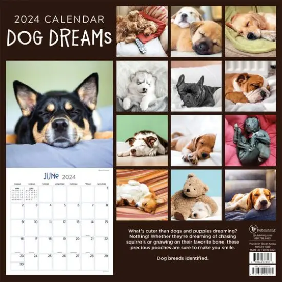 TF Publishing 2024 Dog Dreams Wall Calendar {3}