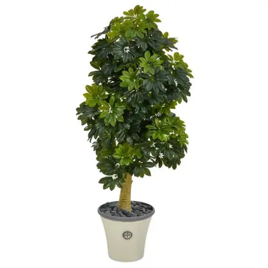 5ft. Umbrella Tree in Decorative Planter {1}