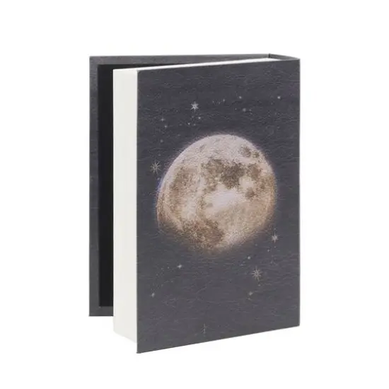 12" Skeleton Couple Book Box Tabletop D&eacute;cor by Ashland&reg; {3}