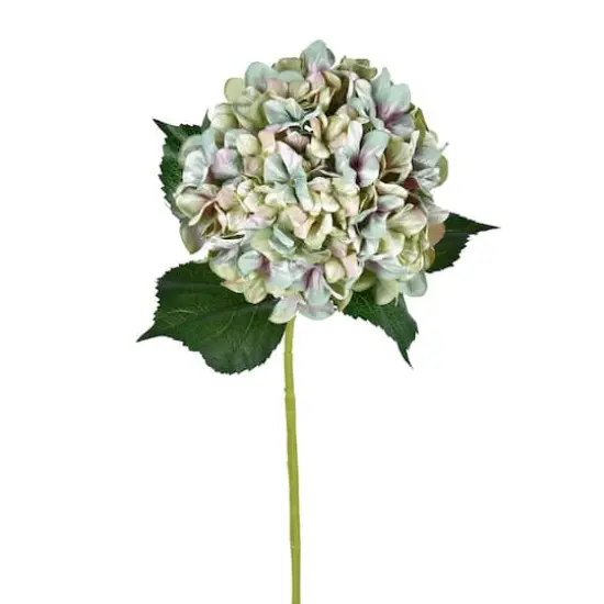 Seafoam Lavender Hydrangea Stem, 2ct. {1}