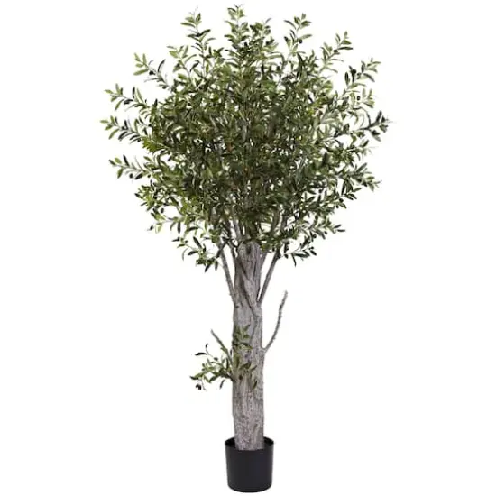 6ft. Potted Olive Tree {1}