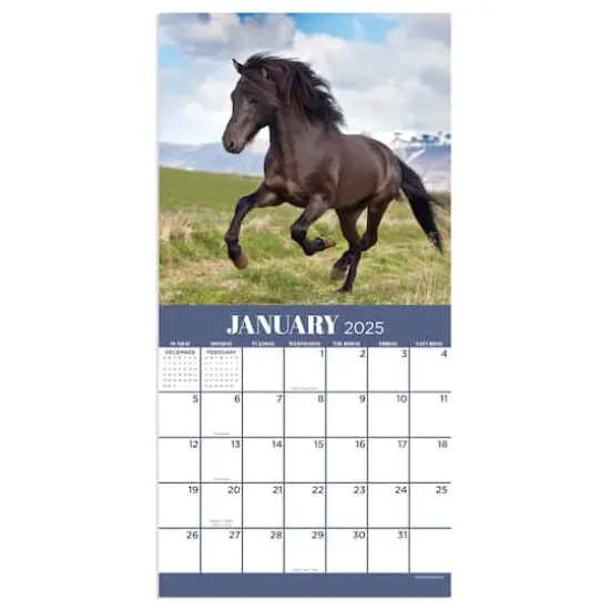 TF Publishing 2025 Horses Mini Calendar {5}